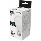 Entac LED Globe izzó E27 10W CW 6400K